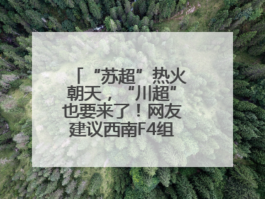“苏超”热火朝天，“川超”也要来了！网友建议西南F4组建西甲联赛！